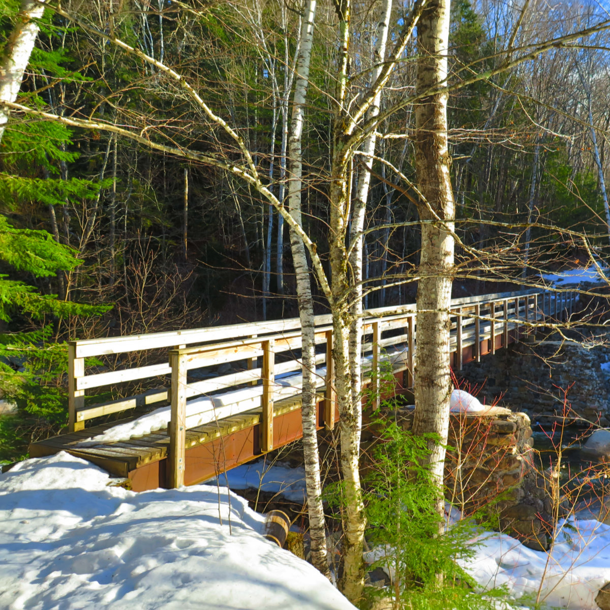 Footbridge-Over-Franconia-Brook-20180405