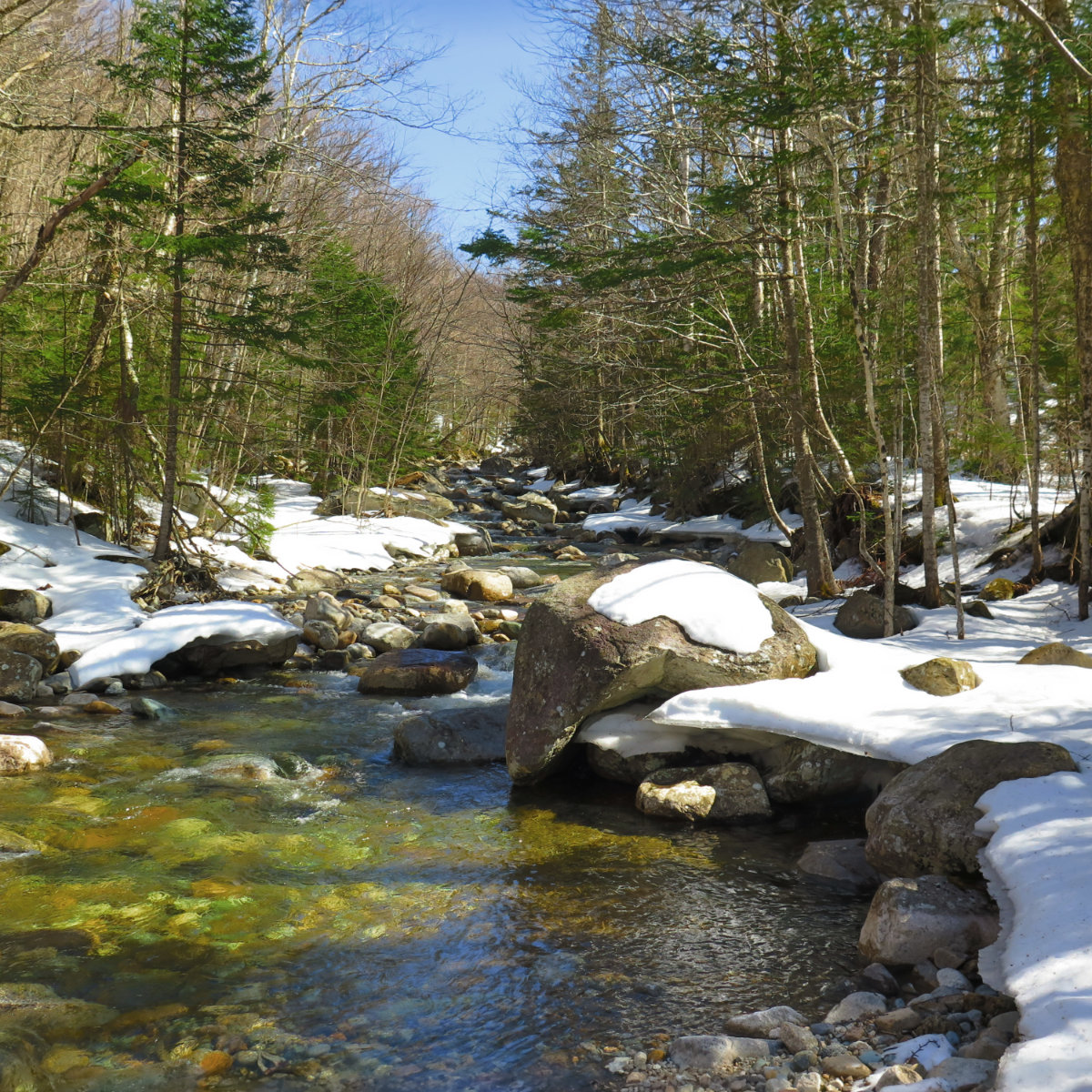 Galehead-Gale-River-20180424