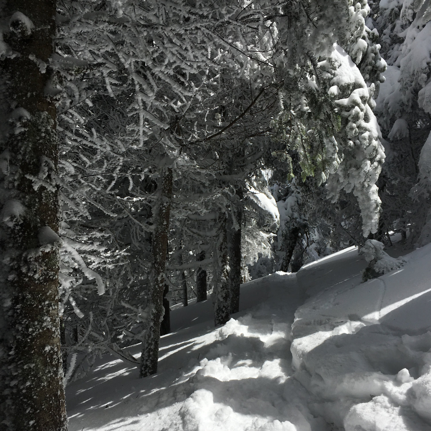 Garfield-Trail-20180421