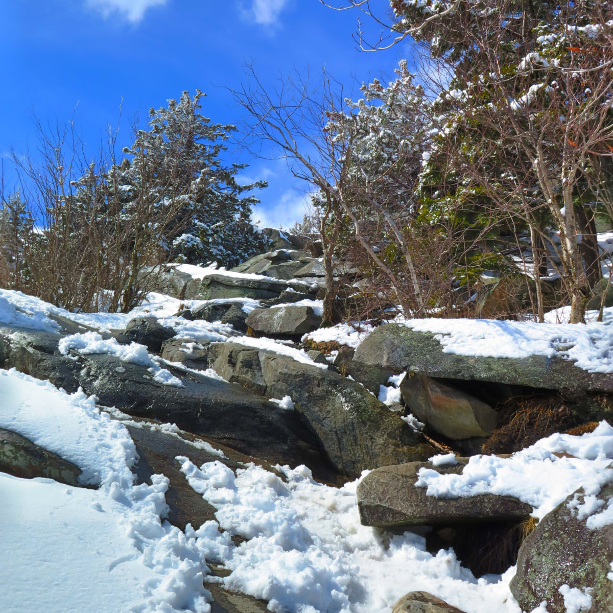 Rocky-Trail-Monadnock-20180407