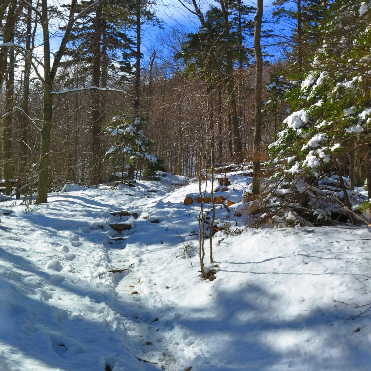 Snowy-Trail-Monadnock-20180407