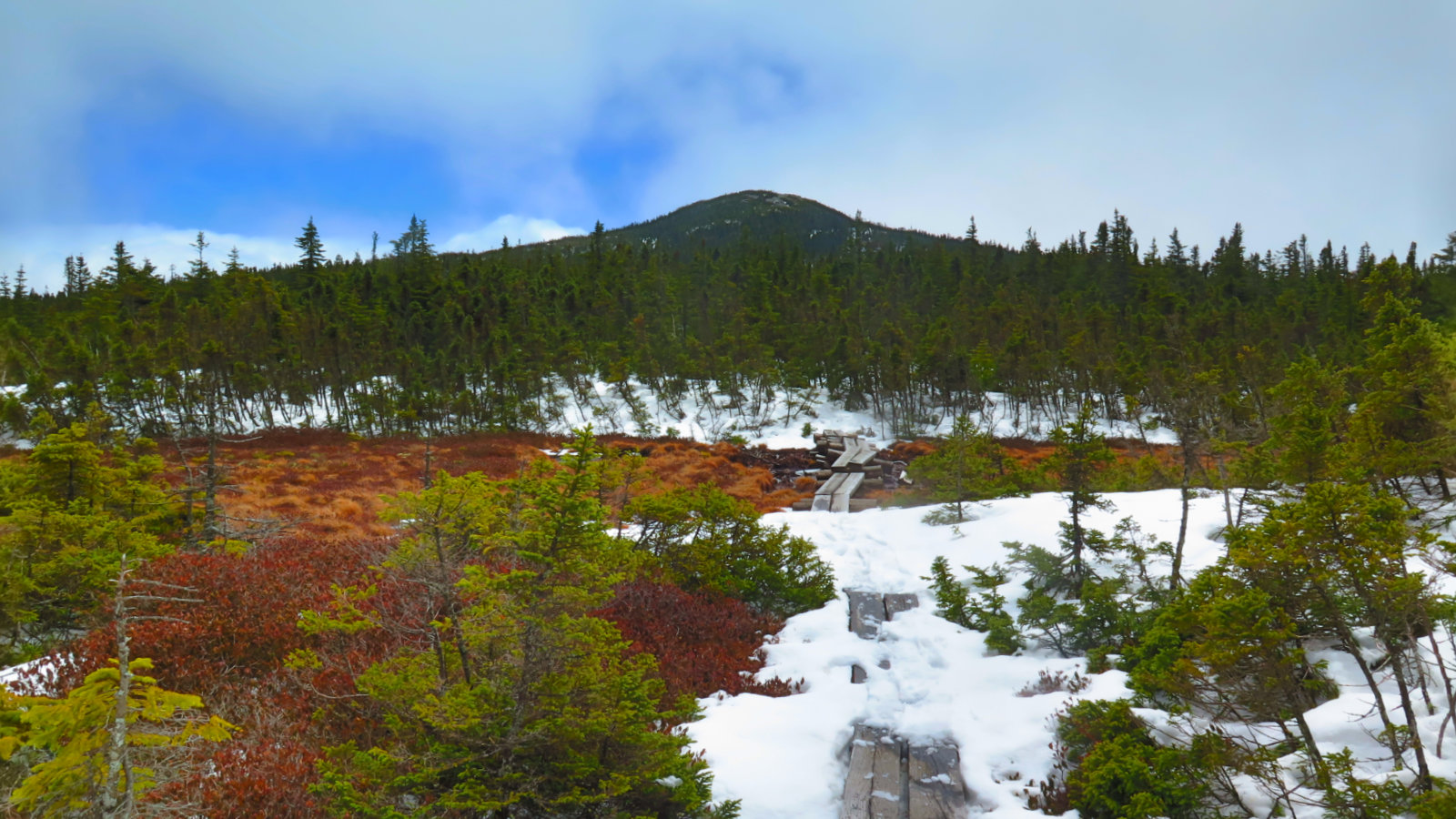 Jax-From-Alpine-Bog-20180501