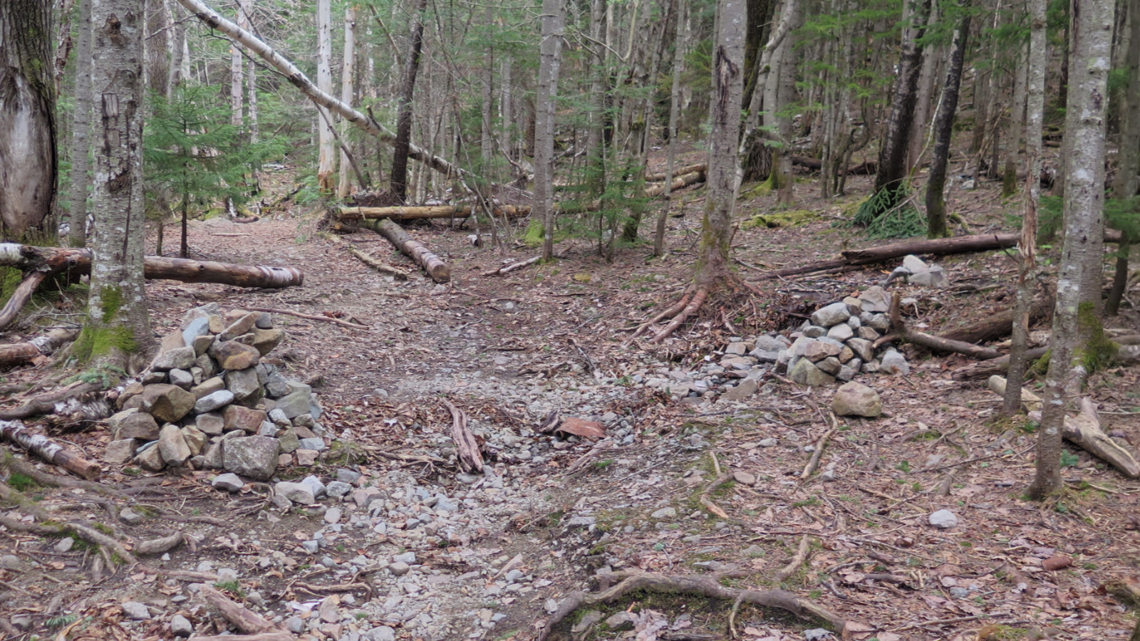 Owls-Head-Path-Cairn-20180517