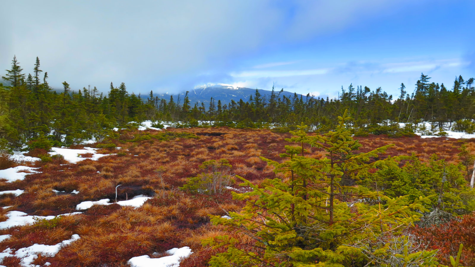 Washington-From-Alpine-Bog-20180501