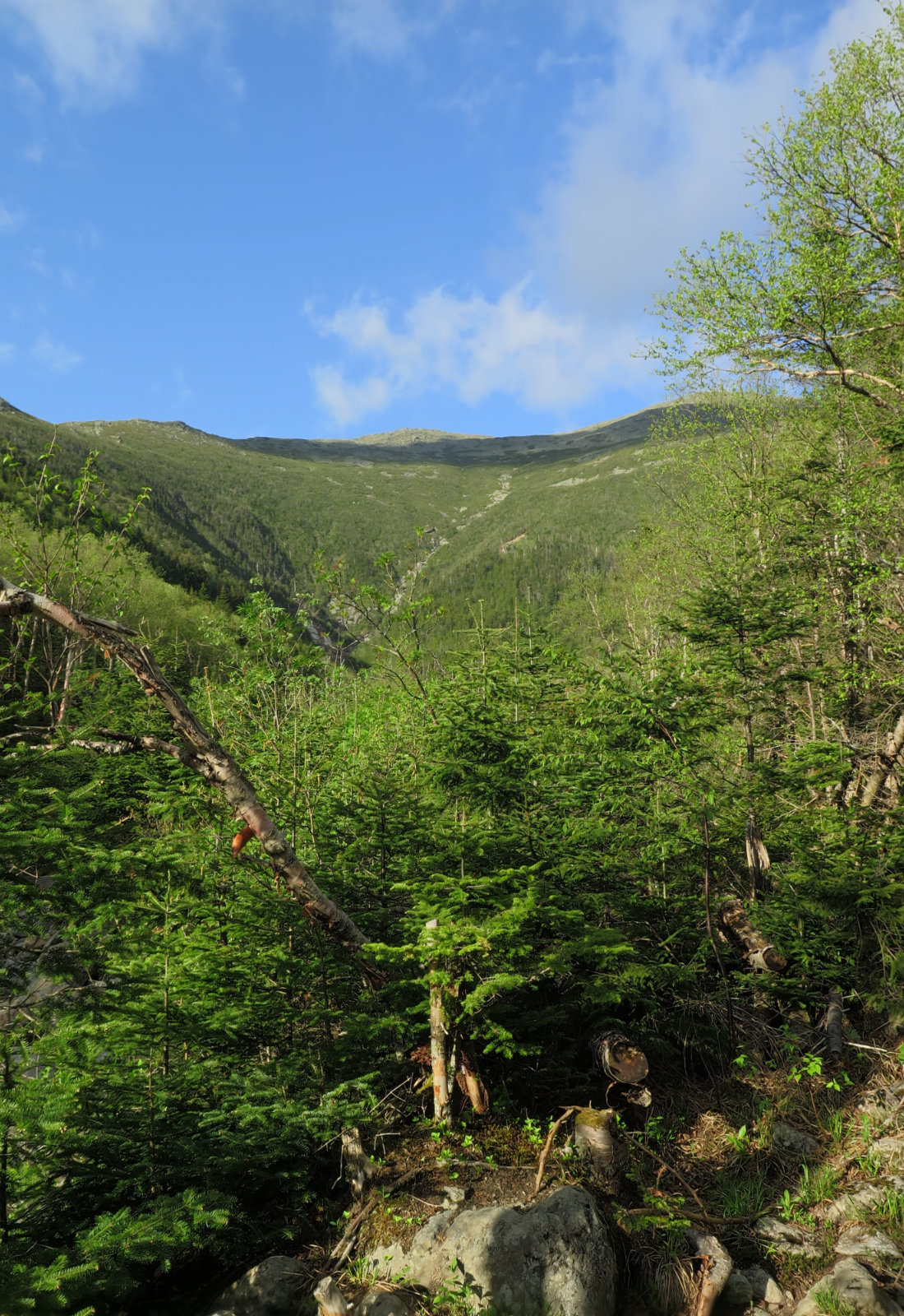 20180602-Ammonoosuc-Ravine