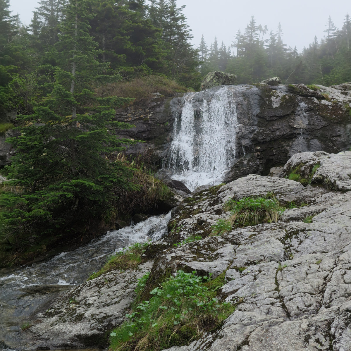 20180602-Ammonoosuc-waterfall