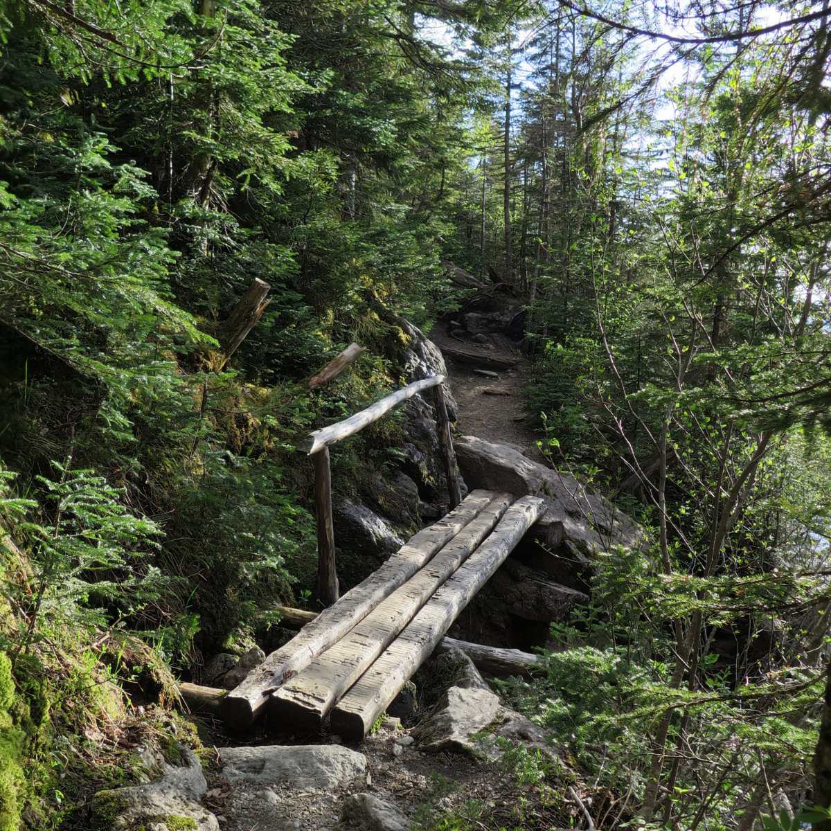 20180602-Washington-Ammo-Footbridge