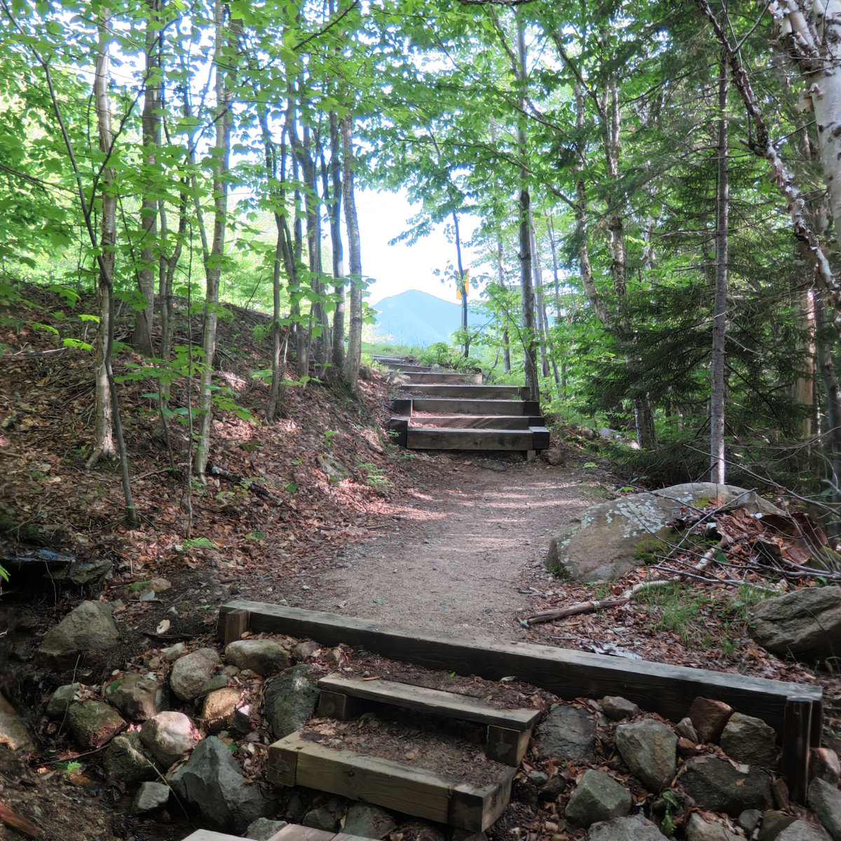 20180607-Hancock-Trailhead