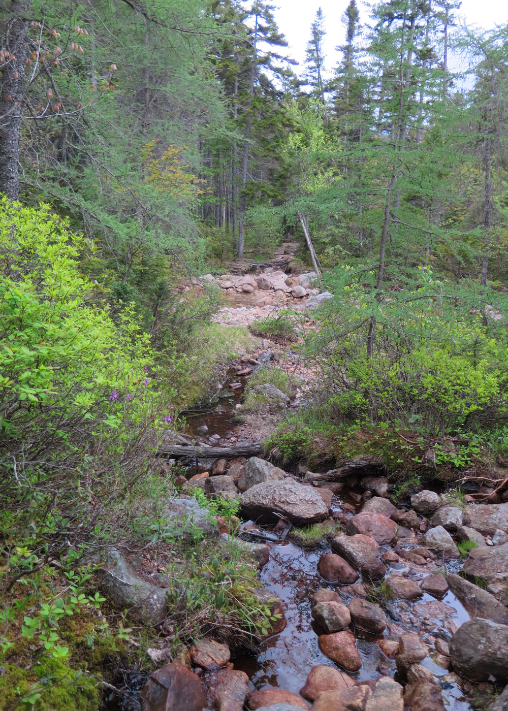 20180607-Hancock-Wet-Trail