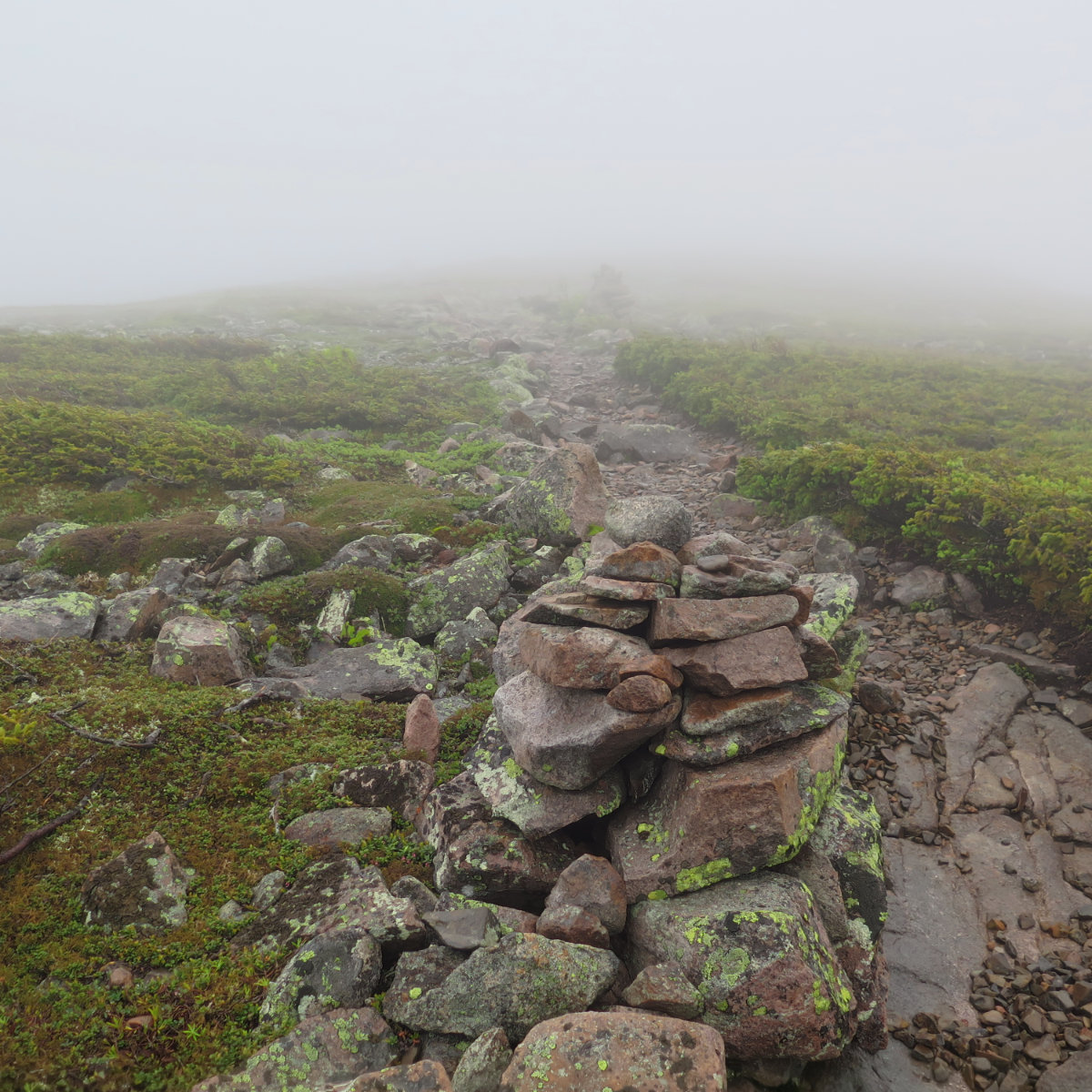 Guyot-Trail-20180614