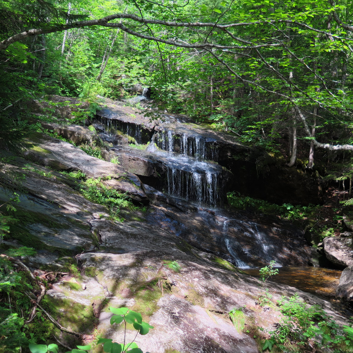 20180730-Old-Speck-Waterfall