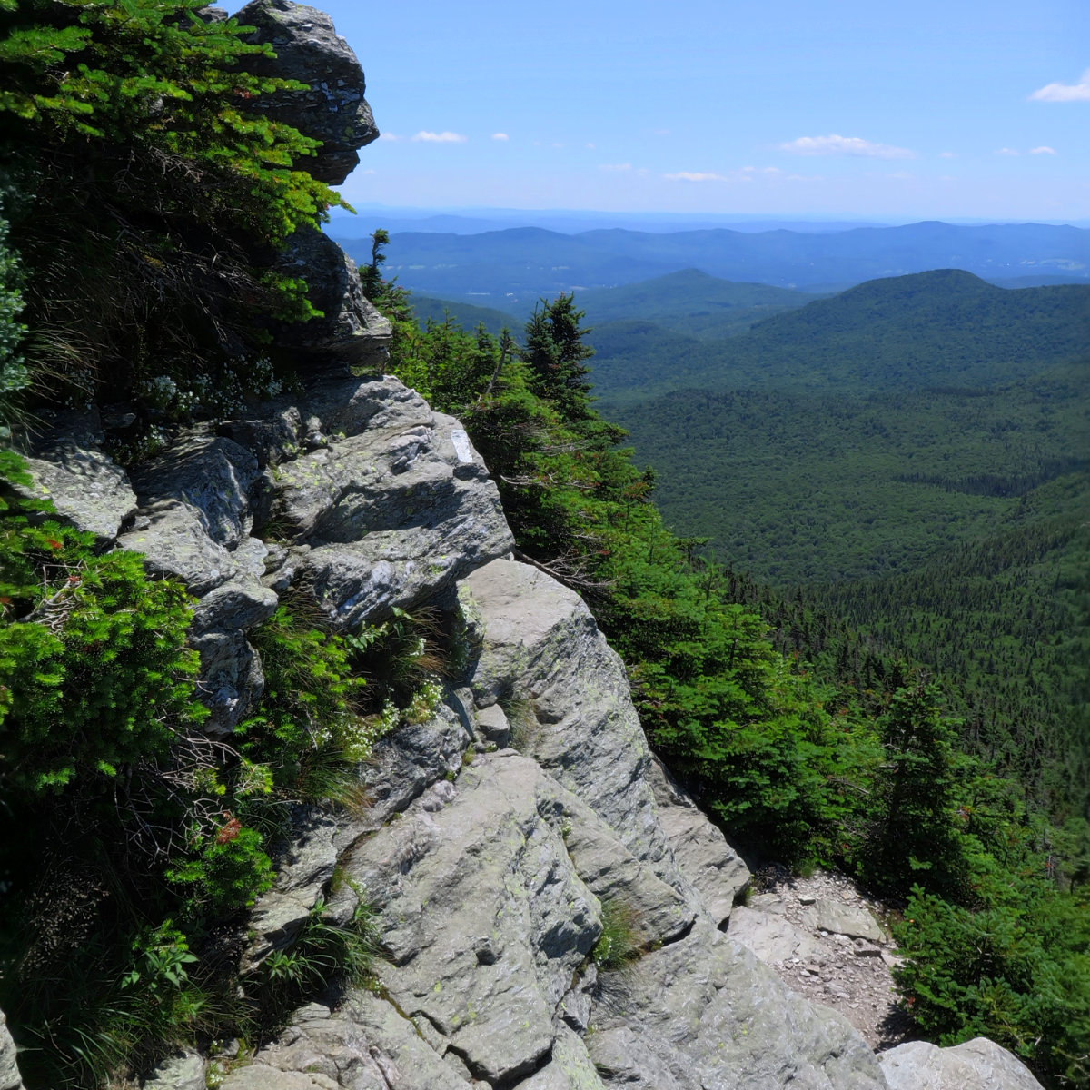 Camels-Hump-Trail-20180711