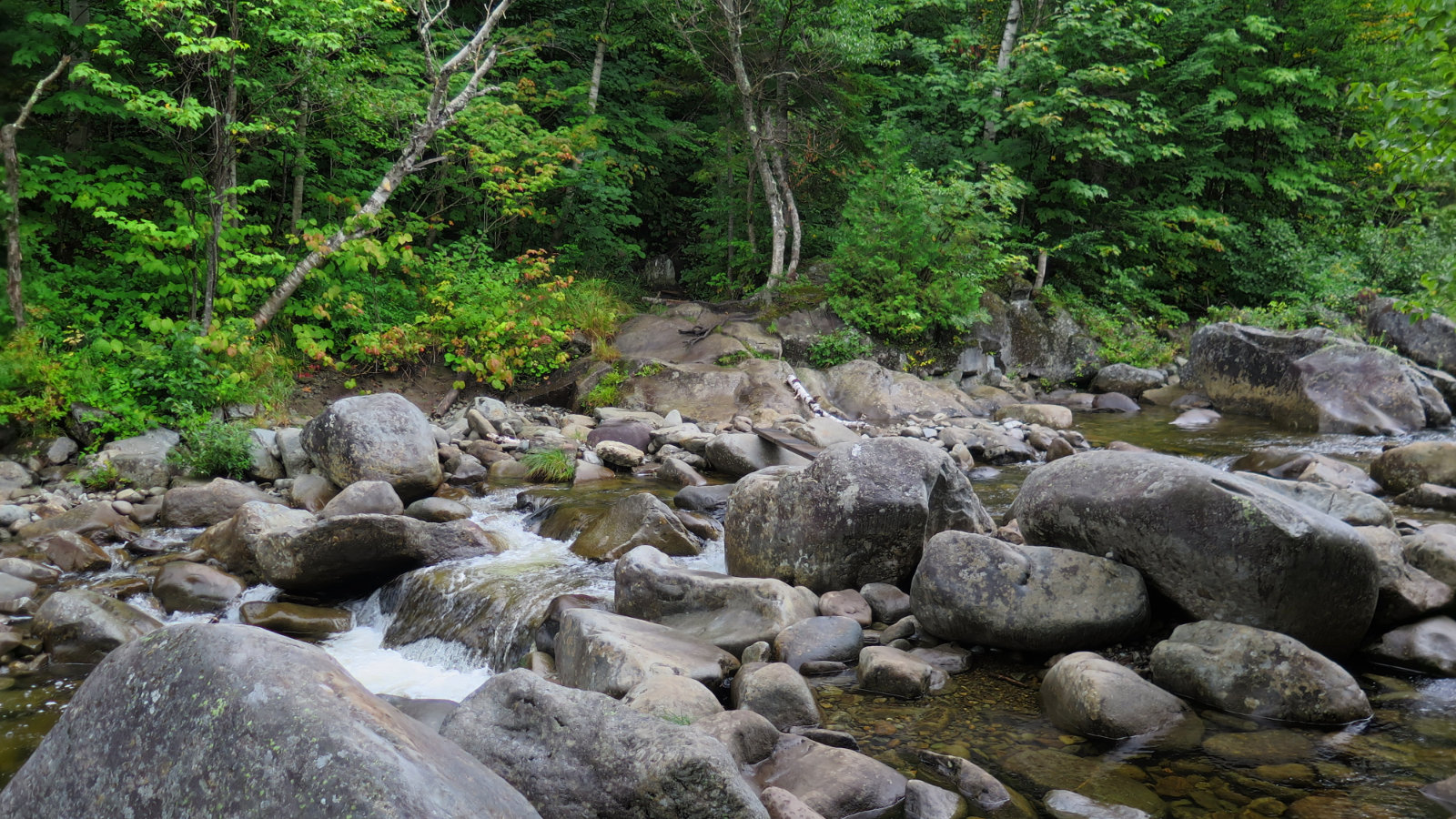 20180906-Sugarloaf-AT-Water-Crossing