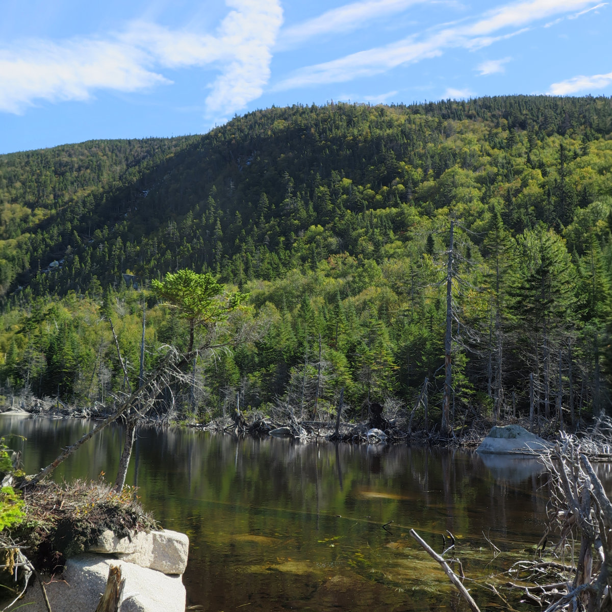 North-Brother-Tarn-20180927