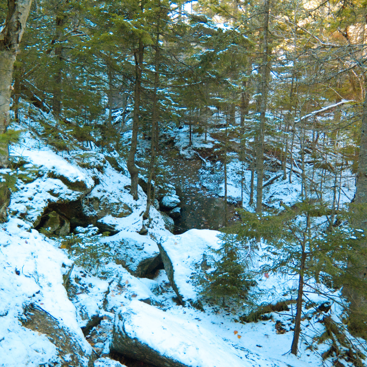 20181018-Cardigan-Snow-Rocks