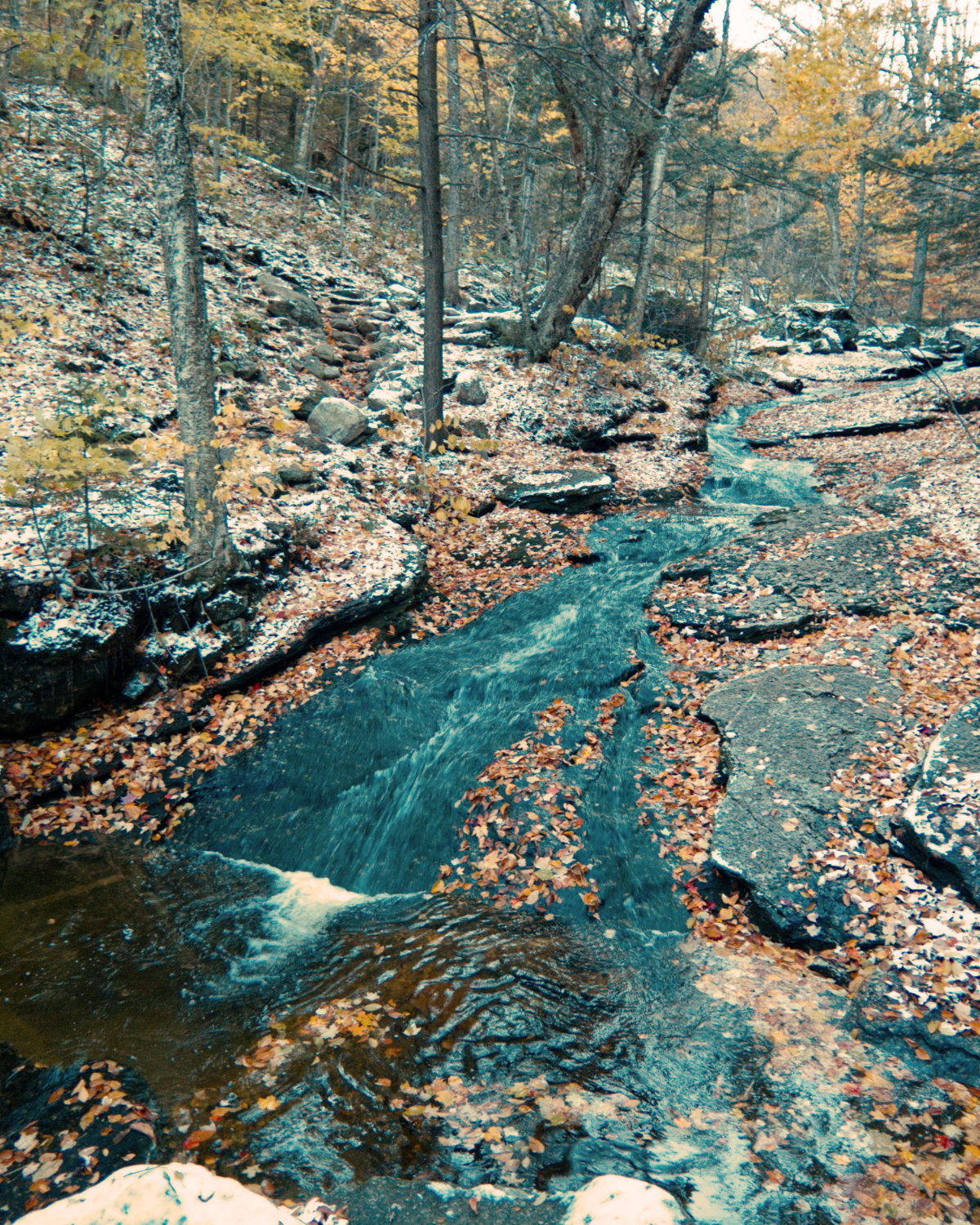 20181018-Cardigan-Waterfall