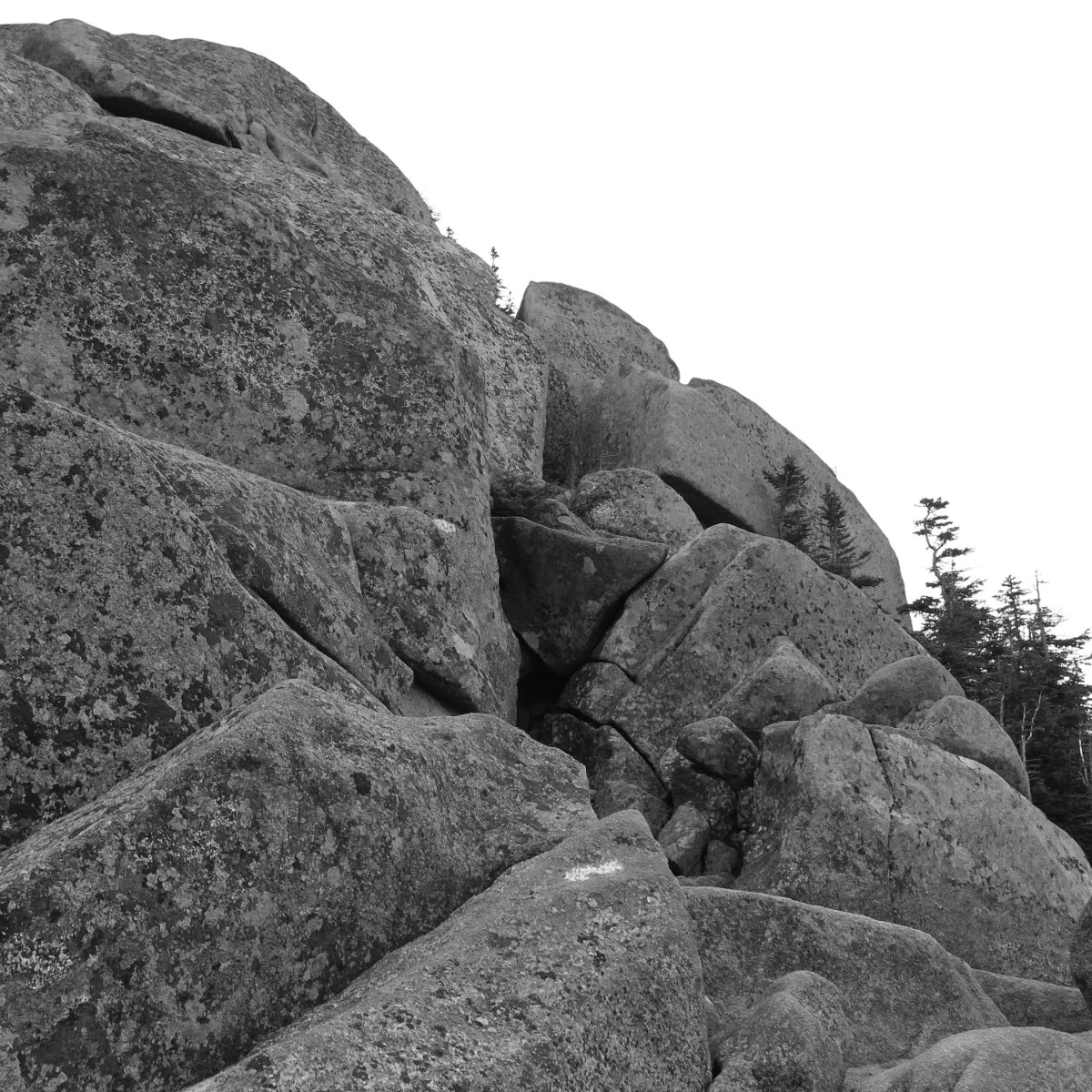 Katahdin-Rocky-Trail-20181004