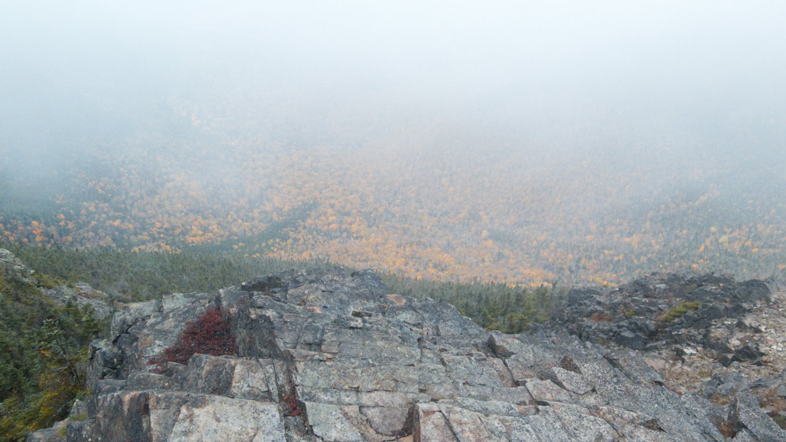 Liberty-Summit-View-1-20181010