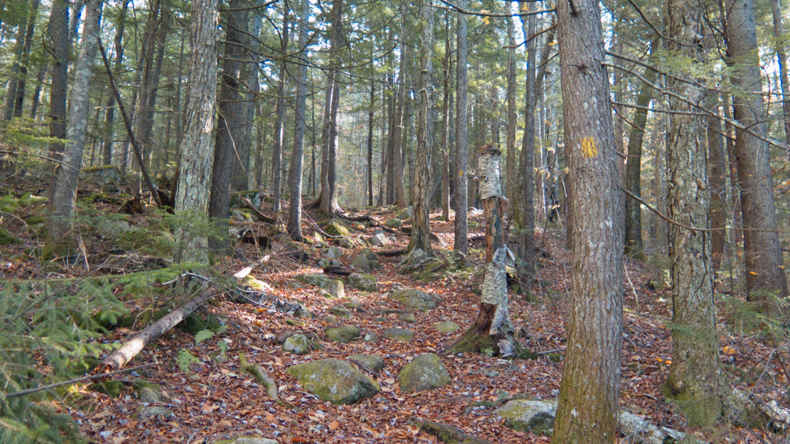 Jennings-Peak-Sandwich-Trail-20181108