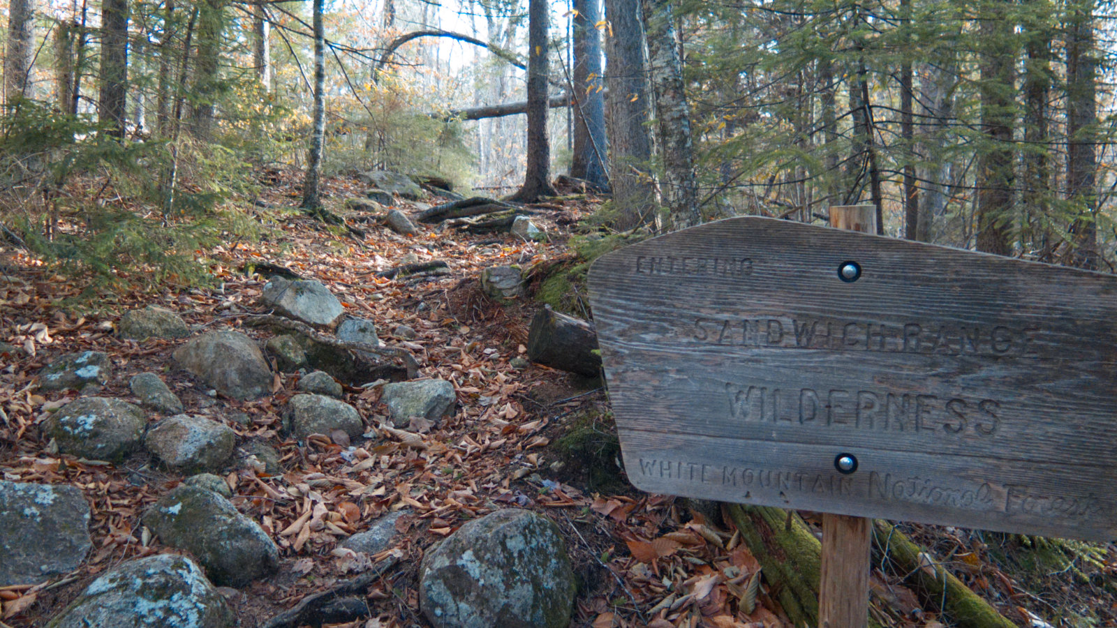 Jennings-Peak-Sandwich-Wilderness-20181108