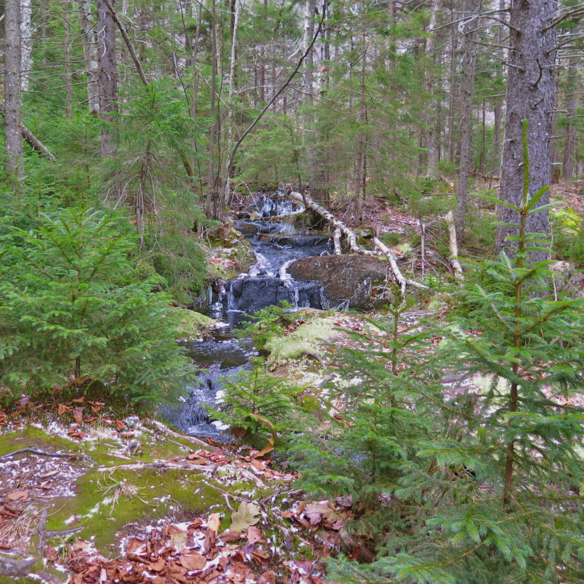 Monadnock-stream-20181115