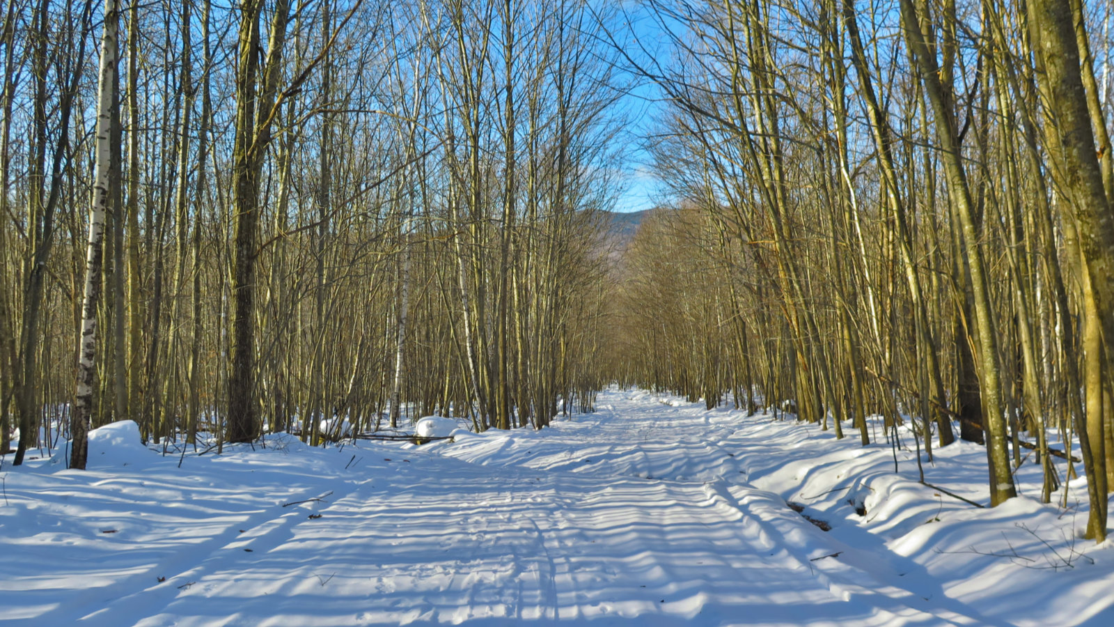 Stinson-Sled-Trail-20181210