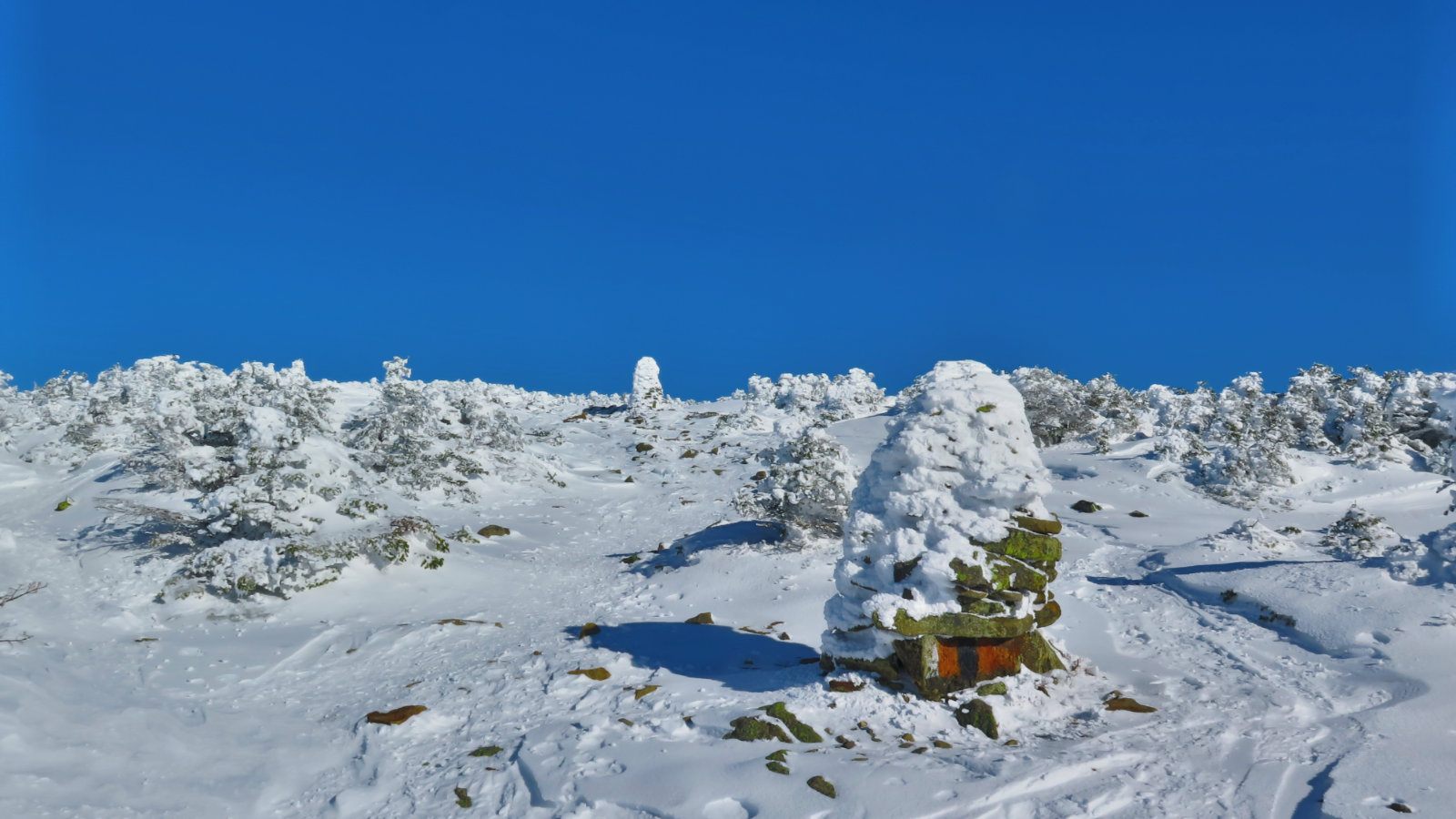 Moosilauke-Summit1-20190117