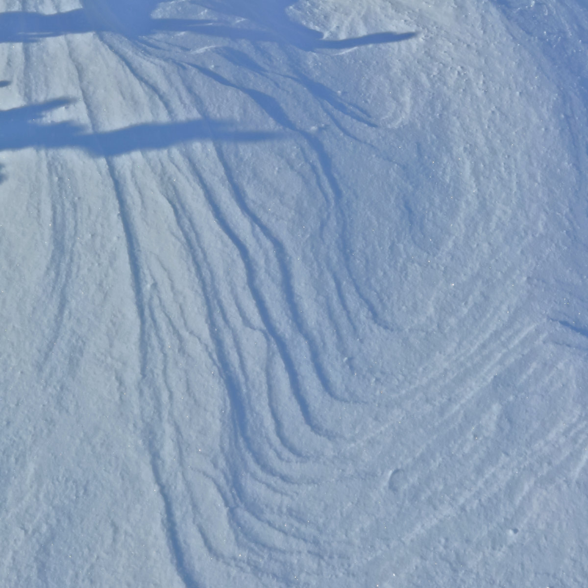 CDSnow-20190216