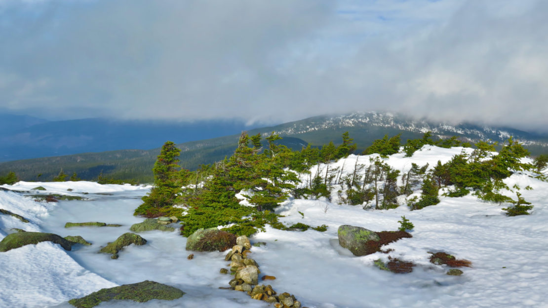 Trip Report Mt Jackson Protean Wanderer