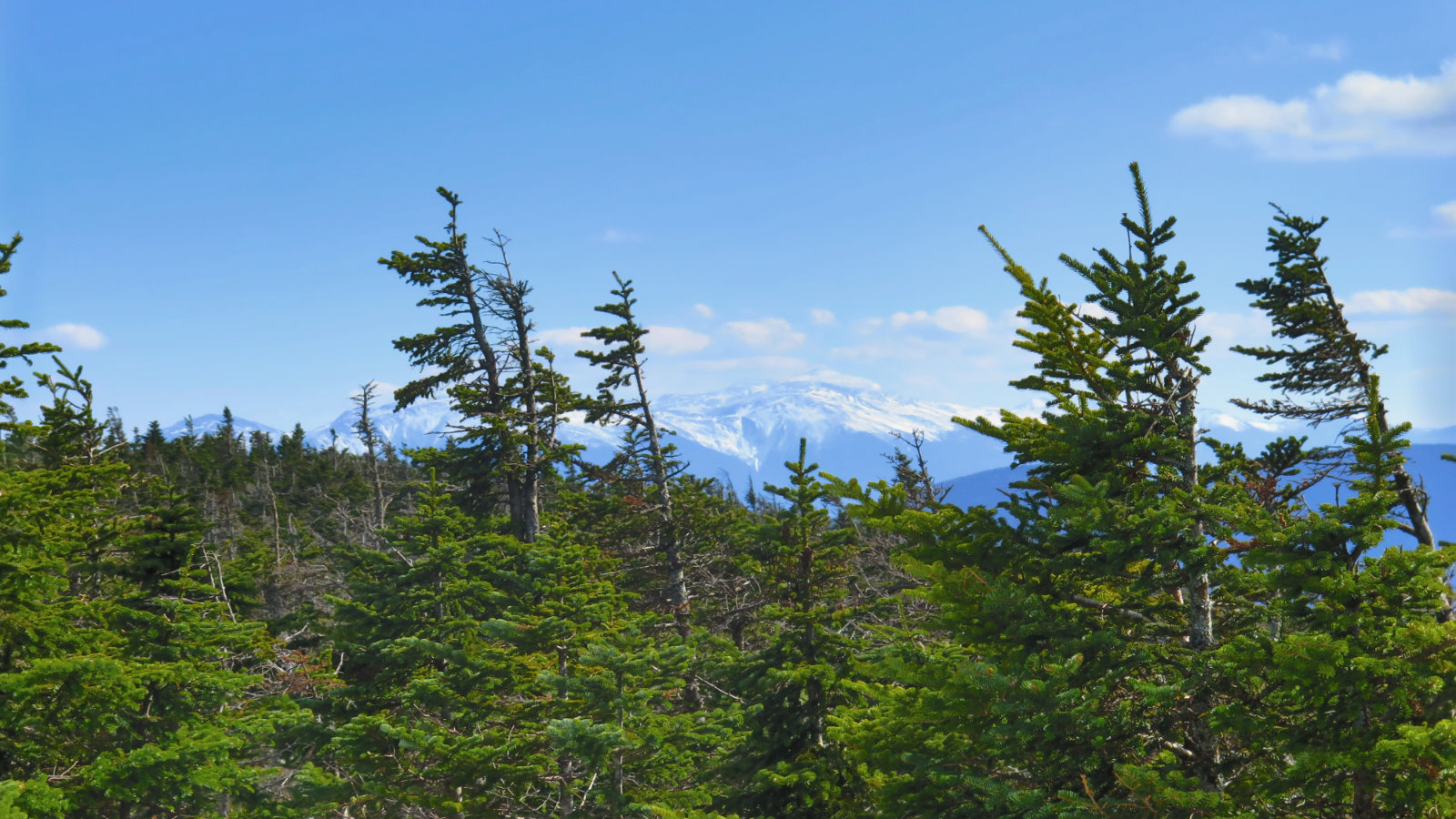 Cabot-Presidentials-View-20190320
