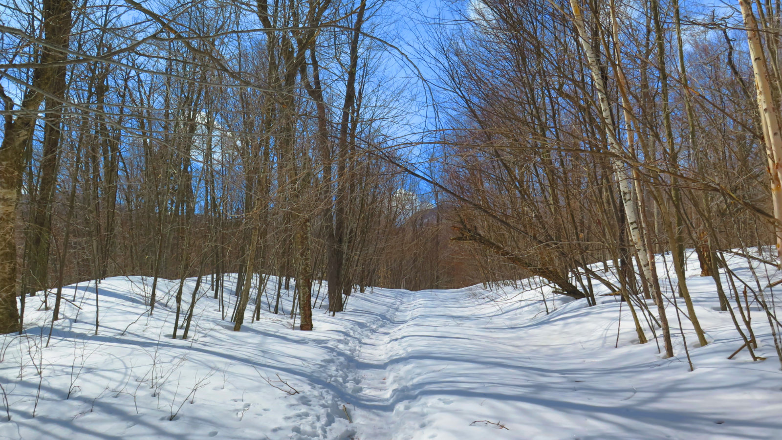 Cabot-Trail-20190320