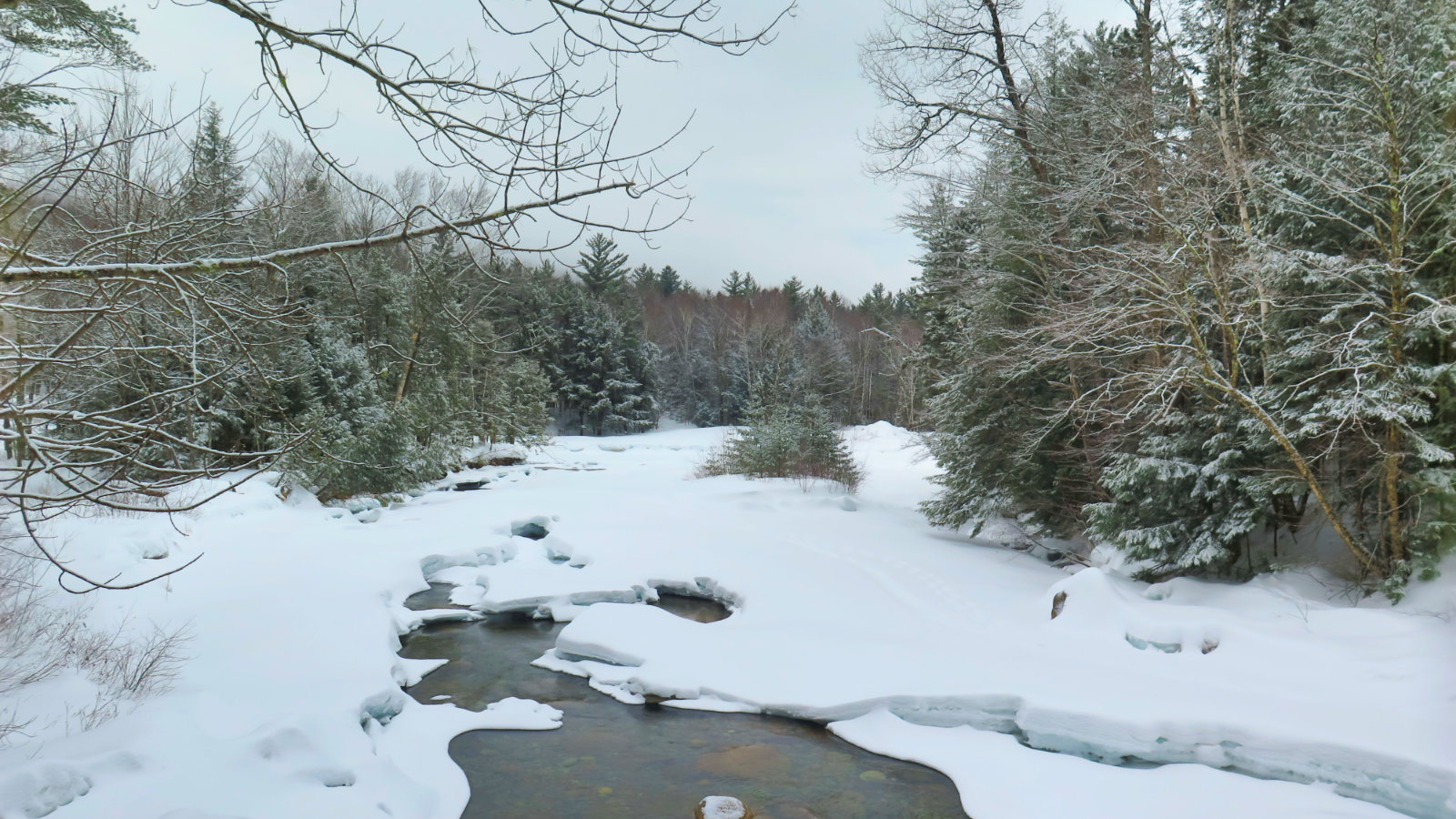 EBPemi-River-FBFootbridge-20190314