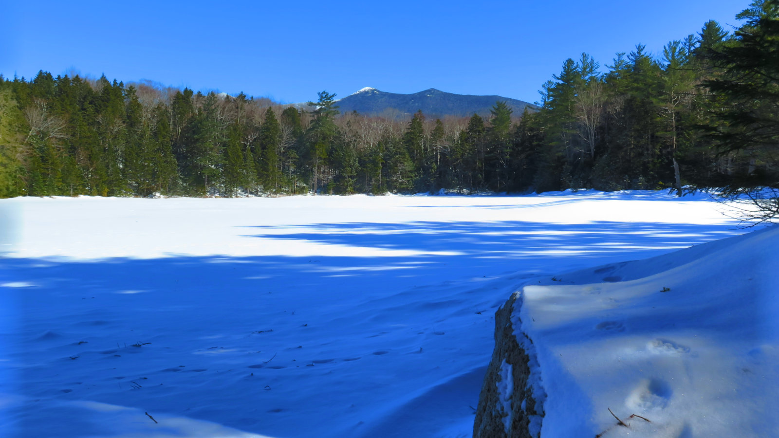 Owls-Head-Black-Pond-20190228