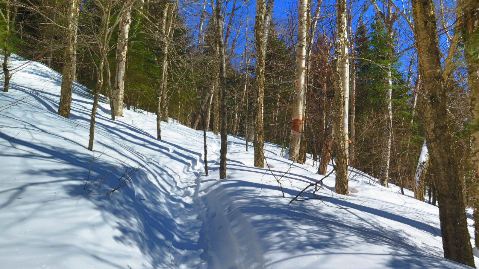 Owls-Head-Trail-Slope-20190228