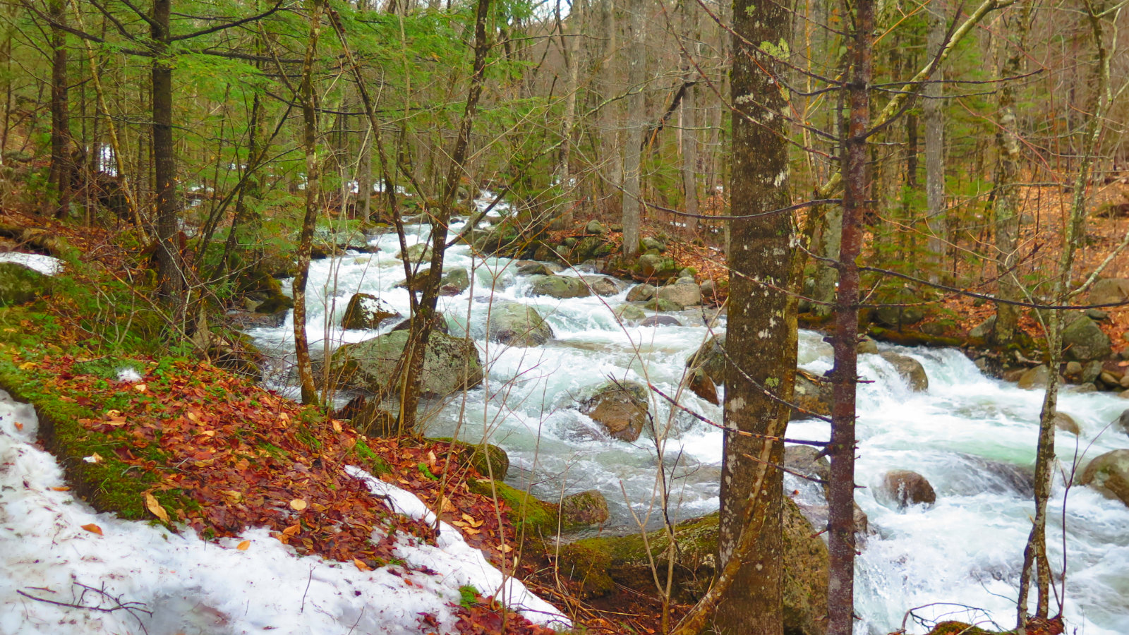 Whiteface-Passaconaway-Brook-20190424