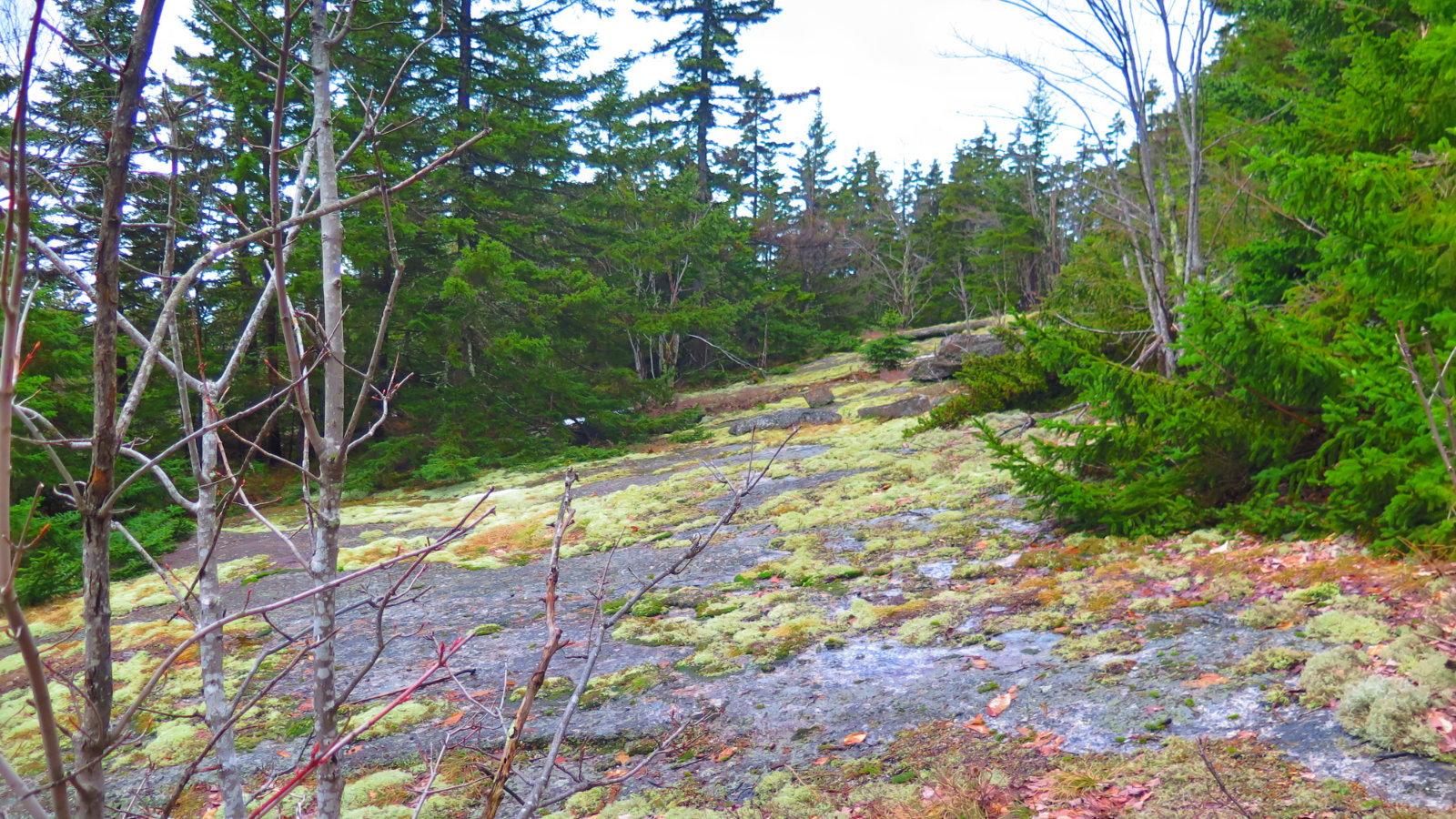 Whiteface-Passaconaway-Ledge-20190424