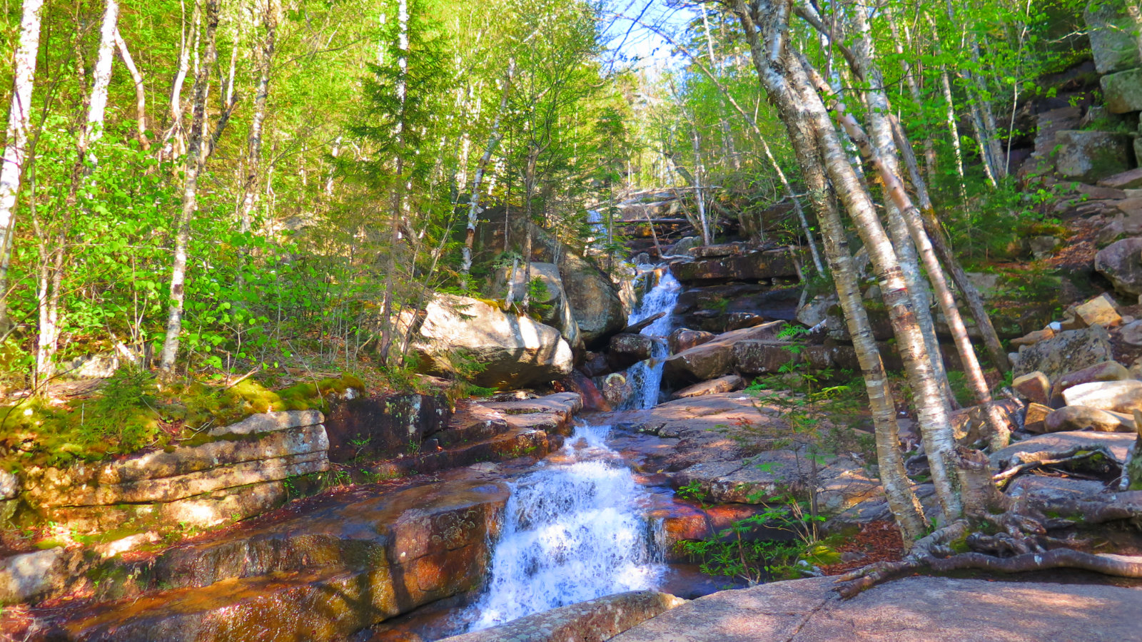 Chocorua-Champney-Falls-2-20190530