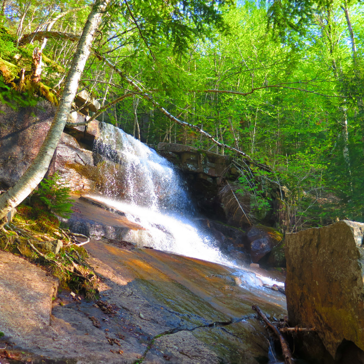 Chocorua-Champney-Falls-20190530