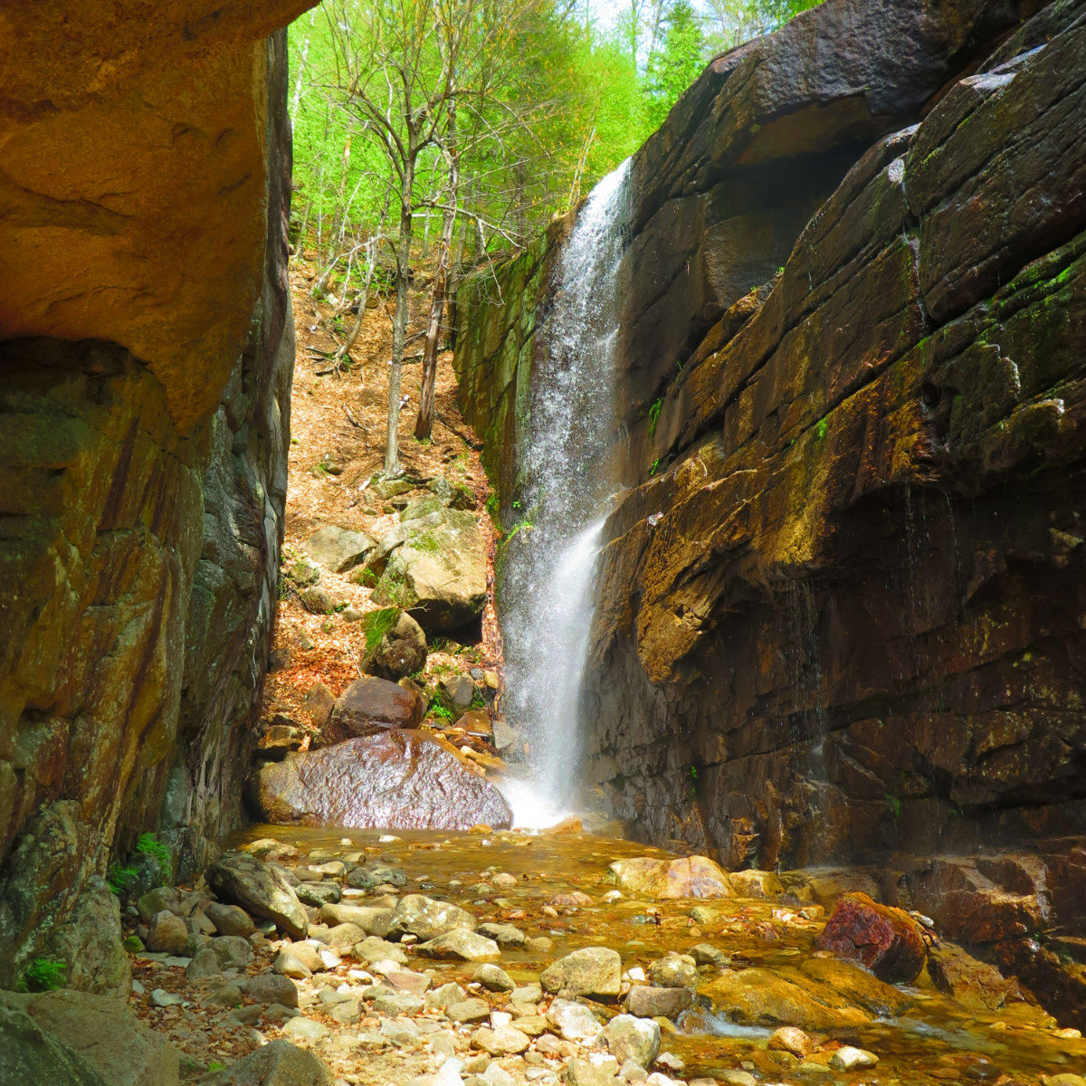 Chocorua-Pitcher-Falls-20190530