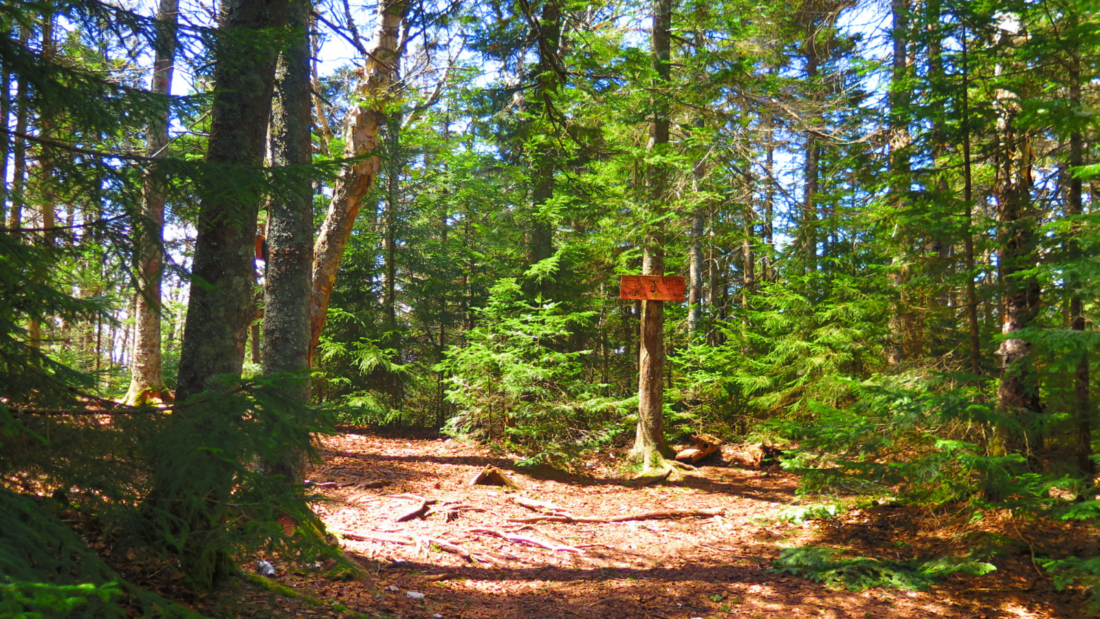 Near-Summit-Sign-Mt-Cube-20190509