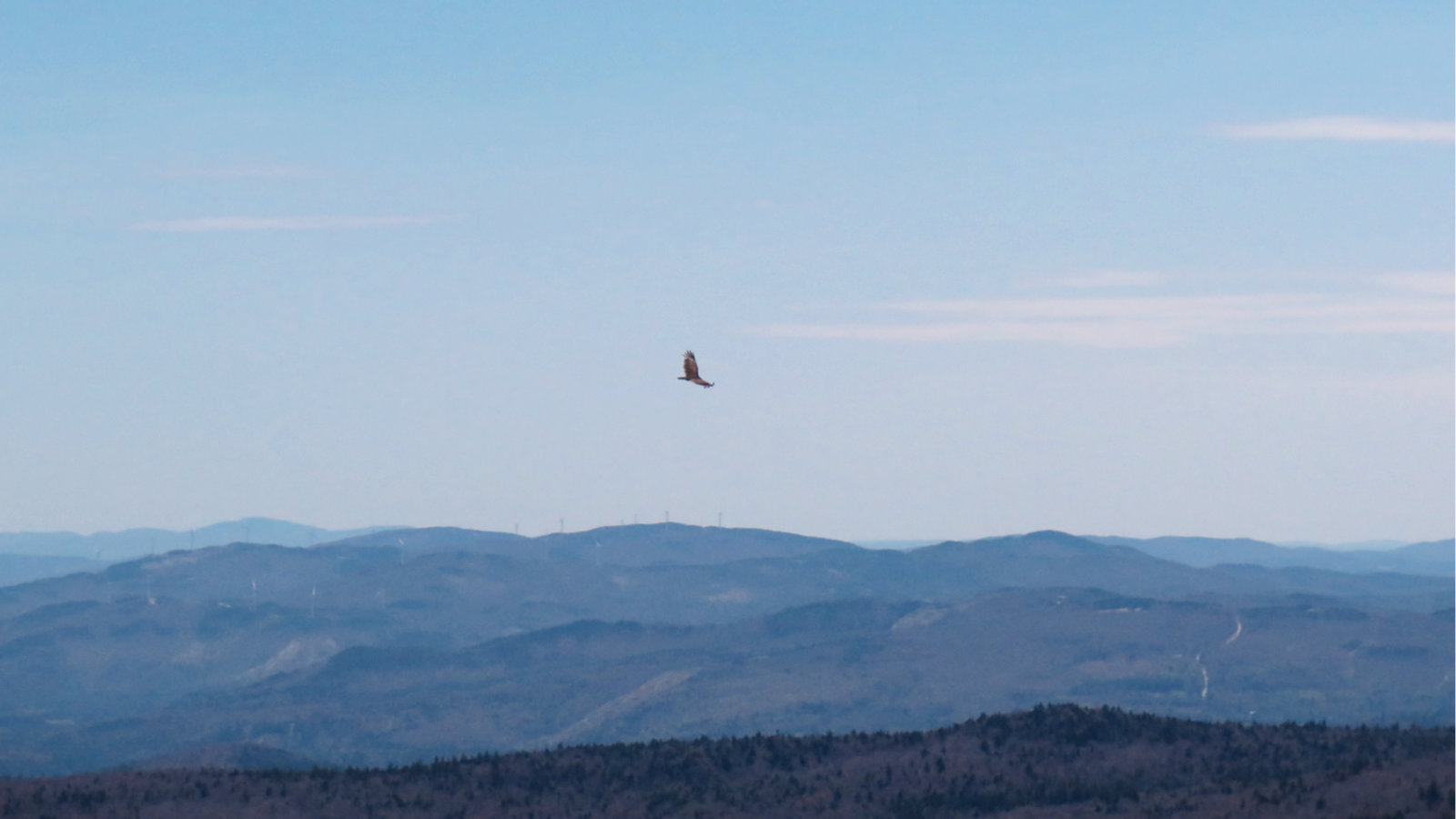 Raptor-Mt-Cube-20190509
