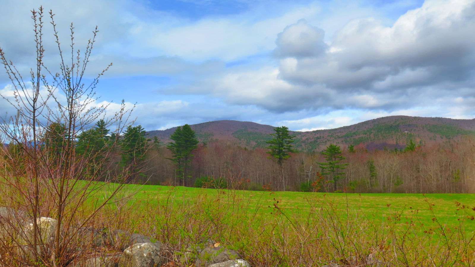 Red-Hill-20190504