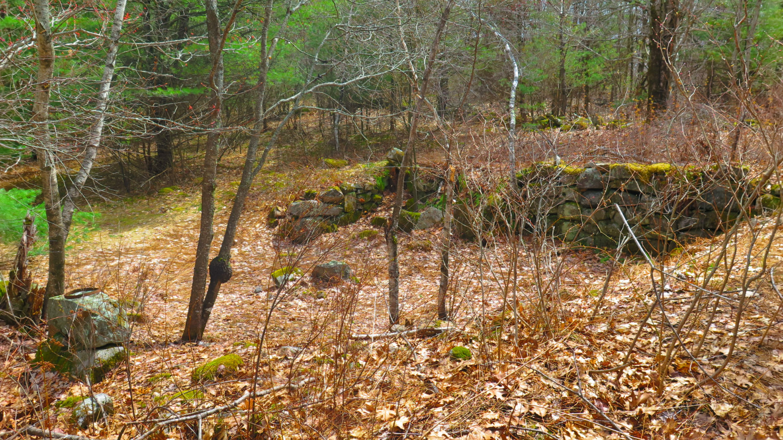 Red-Hill-Cook-Barn-20190504