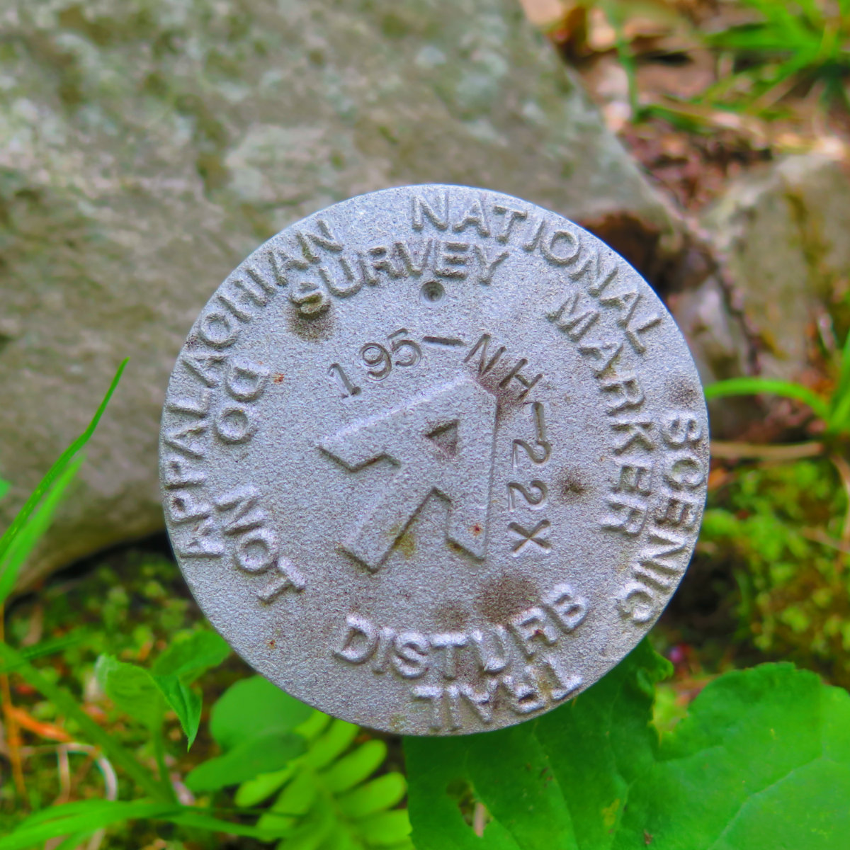 Smarts-AT-Survey-Marker-20190527