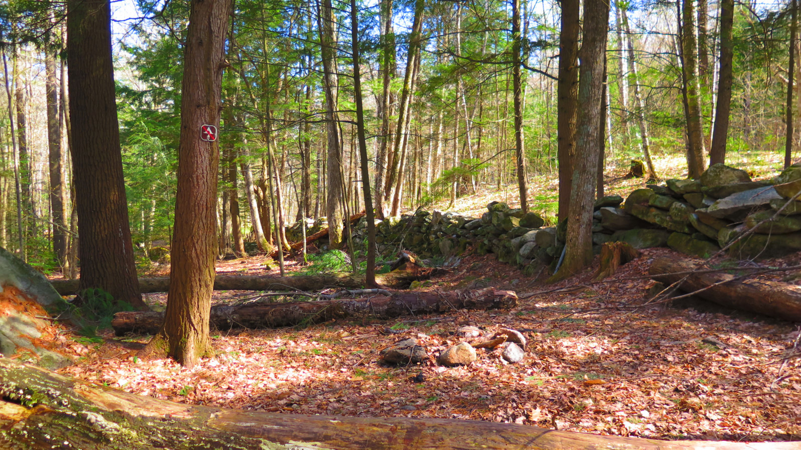 Stone-Wall-Mt-Cube-20190509