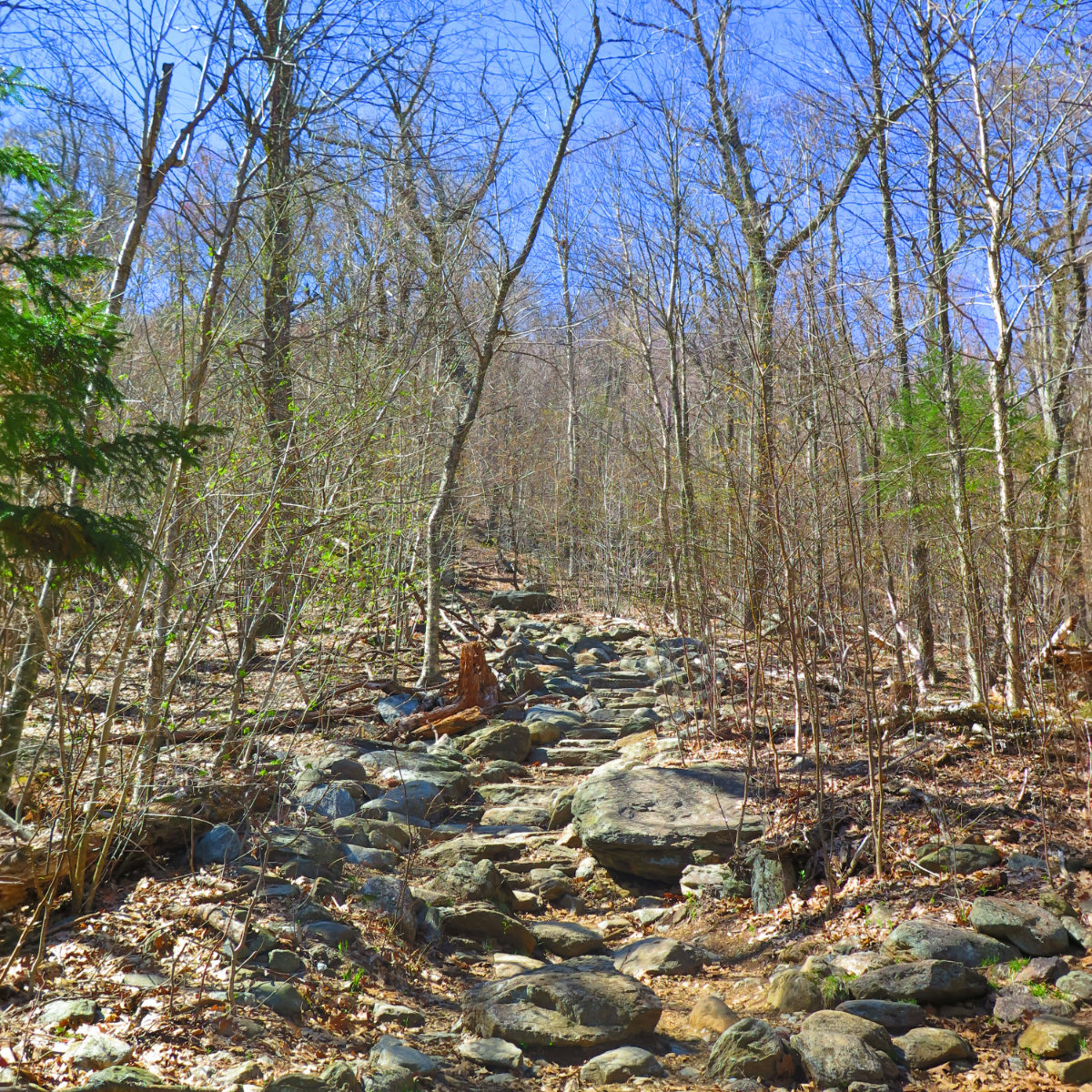 White-Dot-Monadnock-20190508