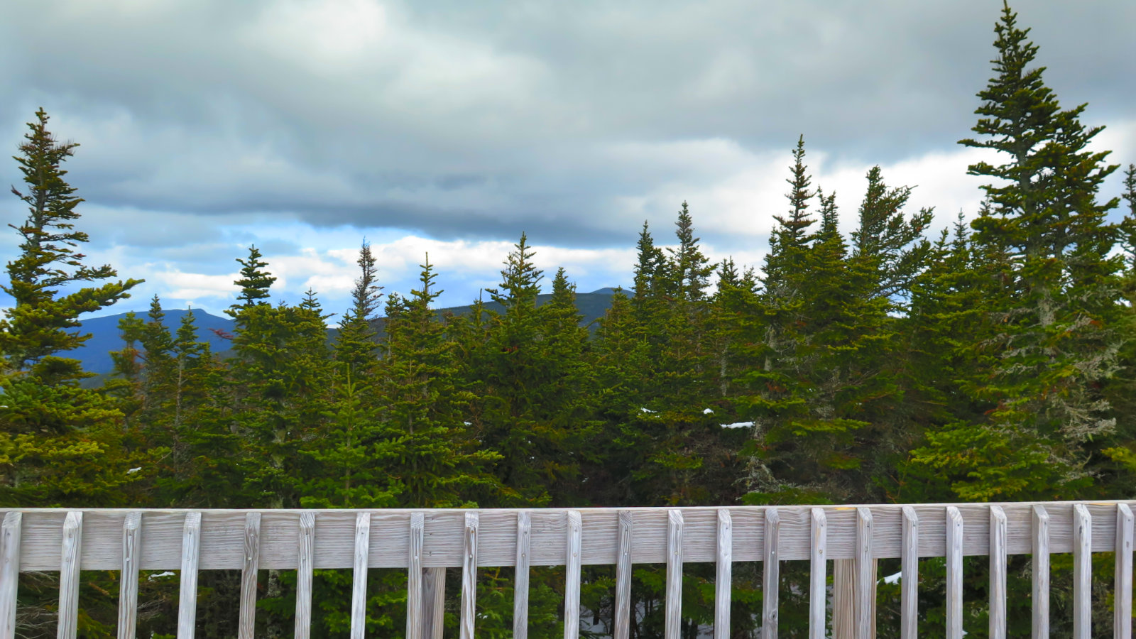 Wildcat-Carter-Dome-Platform-20190516