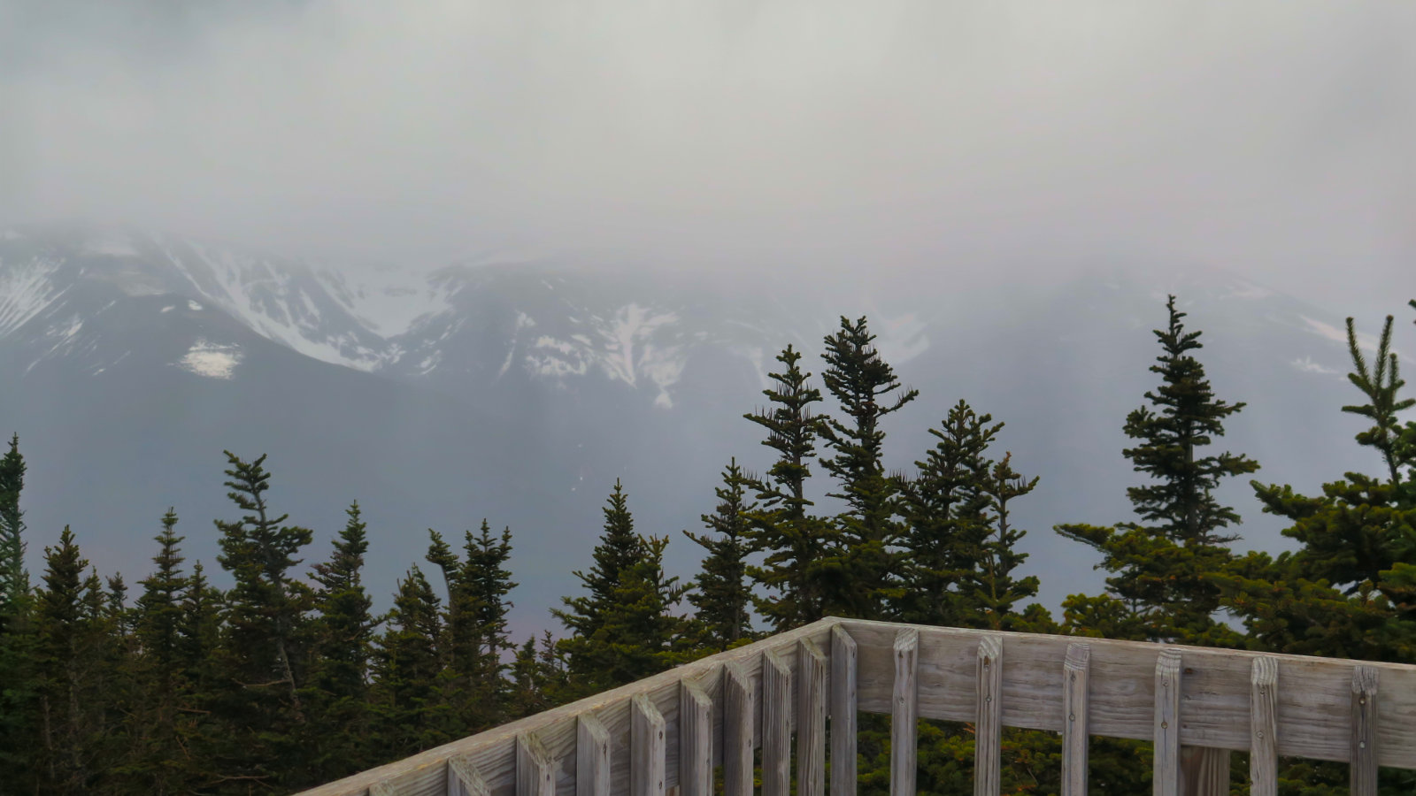 Wildcat-Washington-Fog-20190516