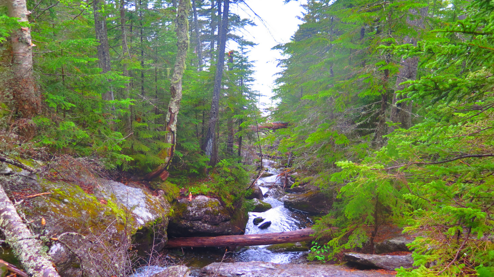 Brook with water flowing off a mountain.