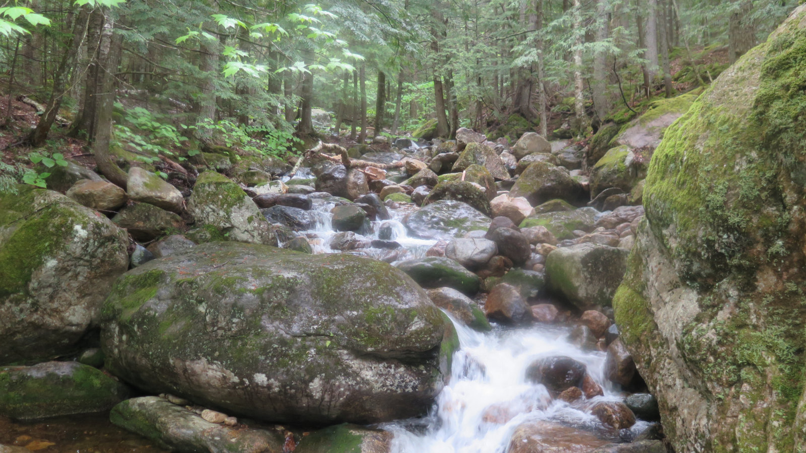 Small waterfall on a brook on the Imp Trail, White Mountain National Forest.